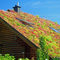 Изкуството да направиш зелен покрив