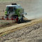Най-субсидираните земеделци искат още пари заради зърнена конкуренция от Украйна