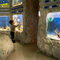 ВЕИ, леден аквариум, нови експозиции: Природонаучният музей в Пловдив с амбициозни проекти