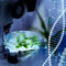 Ще се отвори ли ЕС за "новото поколение ГМО" в храните