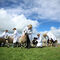 Фотогалерия: Отглеждане на овце в училище
