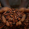 Горещ шоколад – цената на какаото е на рекордните 9400 долара за тон